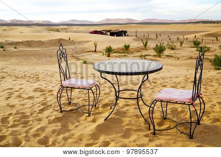And Seat In   Morocco    Africa Yellow Sand