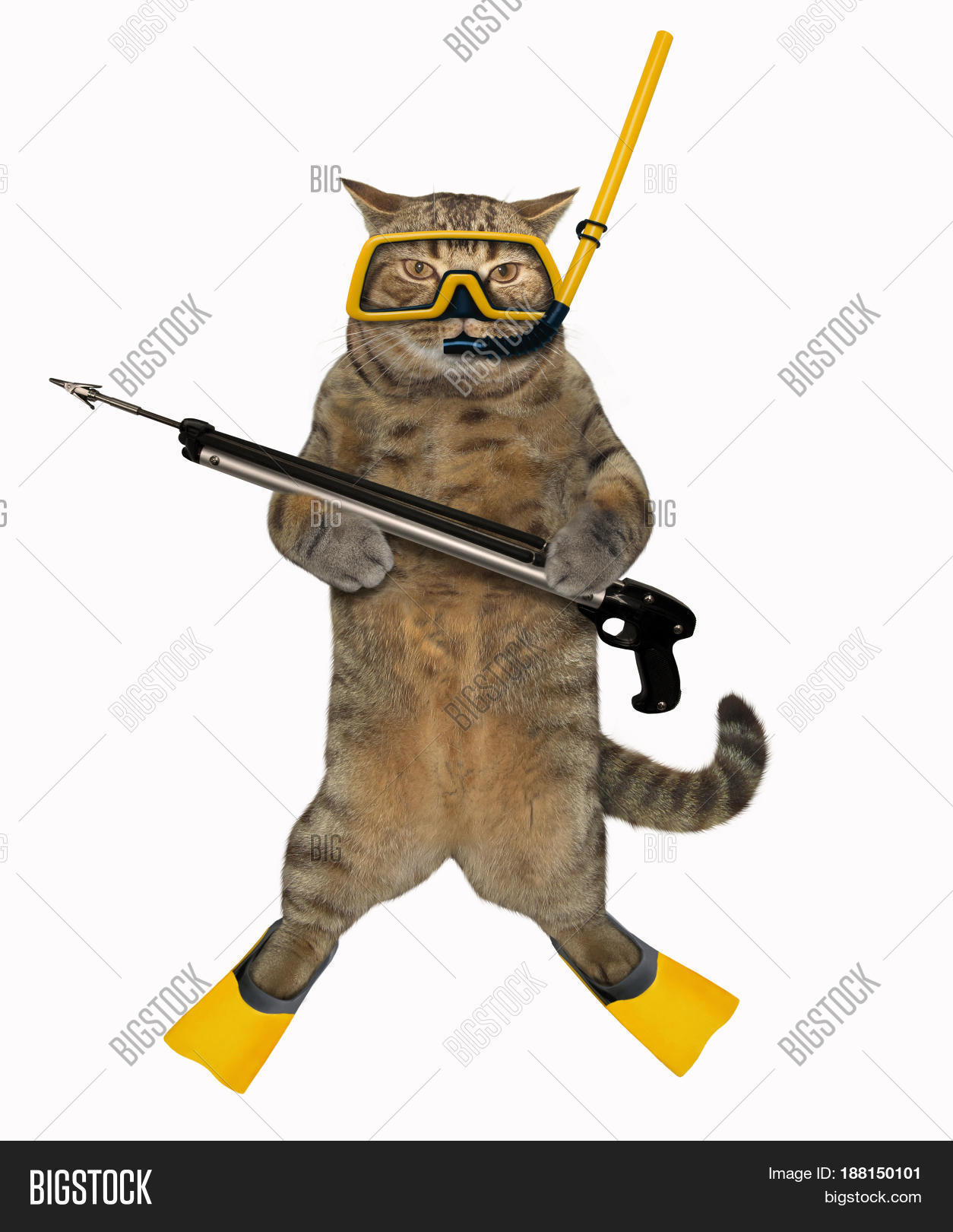 Кот водолаз. Кот в акваланге. Кот аквалангист. Кот в водолазном костюме