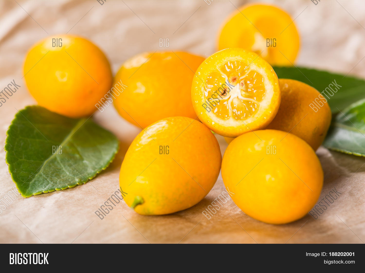 Image Preview