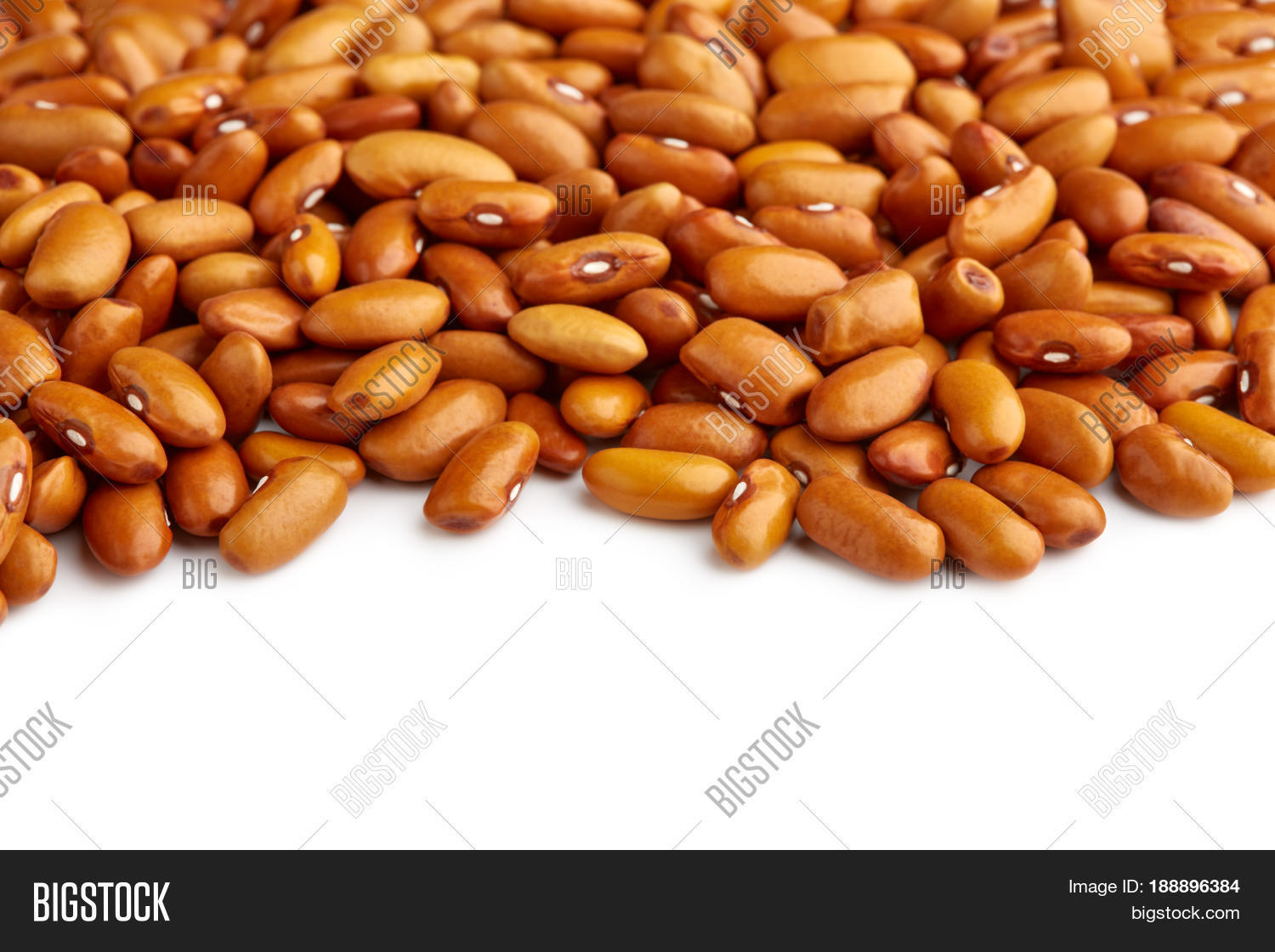 Yellow Kidney Bean Image & Photo (Free Trial) Bigstock