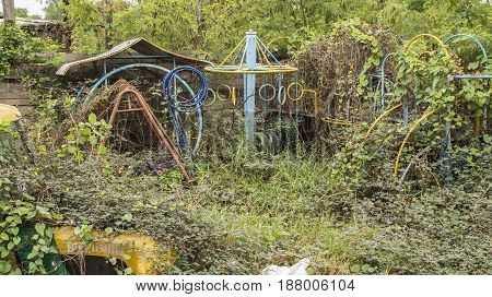 Old toys abandoned. There are many covered trees.
