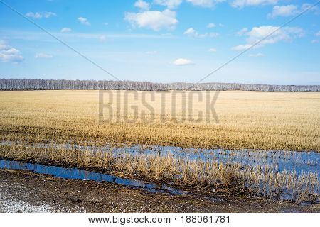 Landscape view of a field and a river