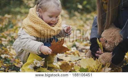 Little daughter with her mommy and Taddy bear walks in autumn park - plays the leaves, telephoto