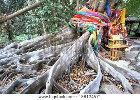 Big tree covered by powder and tied with multicolor fabrics (Faith of thai people) at Wat Pa Kham Chanod Buddhist Temple in Udon Thani Thailand