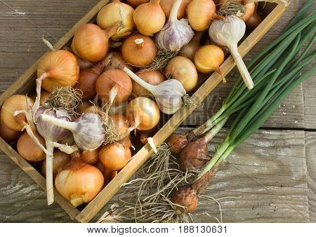 Close-up organic onion garlic bulbs and garlic cloves on wodeen background. . bulbs. Onion Garlic cloves on wooden vintage door.flat lay style