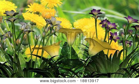 Flores