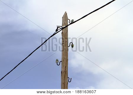 Lone vintage wooden electric pole with lines