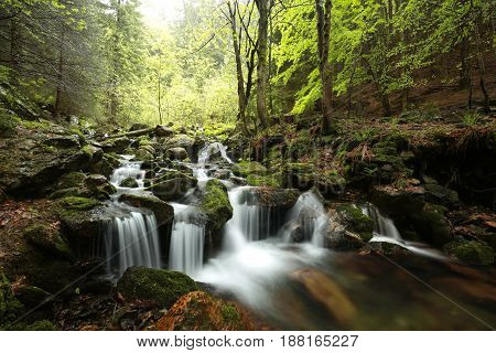 Forest stream Nature background Forest stream river Nature background Forest stream brook Nature background Forest stream spring deciduous trees water Nature background foliage leaves waterfall Nature background Natural environment Nature background.