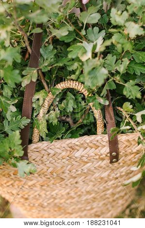 nature, countrylife, ecology, environment, spring, weekends concept - summer straw handbag with leather straps full of fresh green oak branches