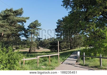 Nature conservation area Schwanheimer dune in Frankfurt am Main, Hesse, Germany