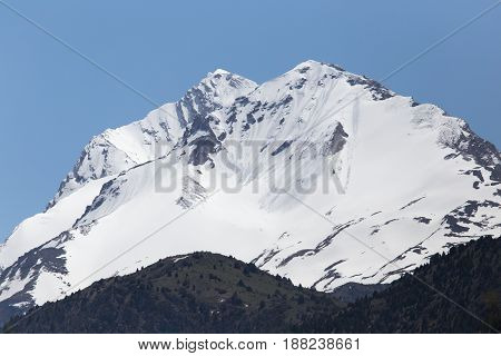 the snowy peaks of the Tien Shan .