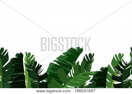 Tropical Design With Exotic Palm Leaves.