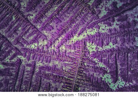 Unique Microscopic Mineral Structure