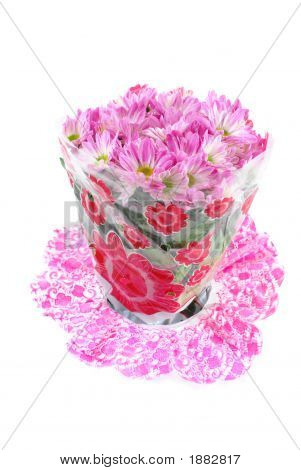 非洲菊