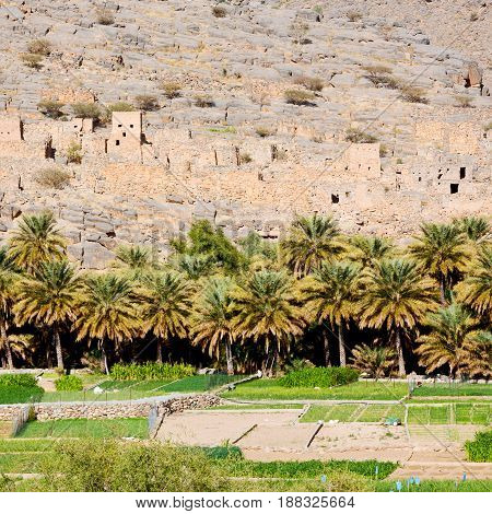 In Oman  The Old Mountain Gorge