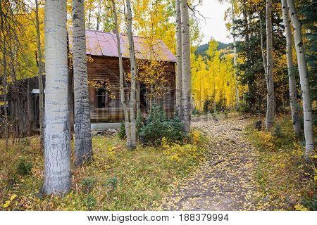 Autumn Scenery in the Rocky Mountains of Colorado