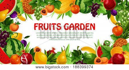 Fruit and berry poster. Apple and pear, banana and pineapple, peach, grape, plum, watermelon and lemon, kiwi, melon and garnet, leaf and grapevine