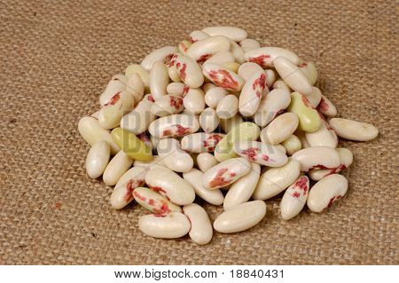 若い白インゲン豆の山