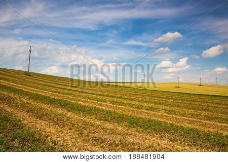 Harvested empty field on the hills at sunset.