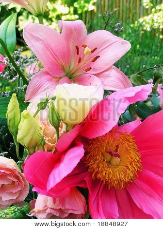 attraversare il processo di riproduzione di un bouquet luminoso