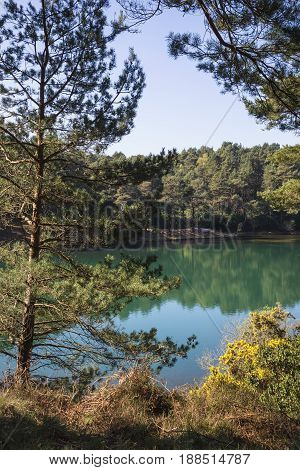 Beautiful Vibrant Landscape Image Of Old Clay Pit Quarry Lake With Unusual Colored Green Water