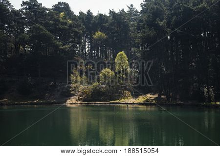 Beautiful Vibrant Landscape Image Of Old Clay Pit Quarry Lake With Unusual Colored Green Water