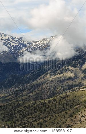 Vertical Shot Of Mountain Slopes With Pine Trees And Snowpeak And Clouds