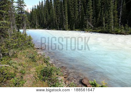 Whitecolored Kiking Horse River in Yoho NP