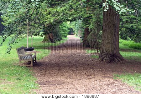 Garden Path
