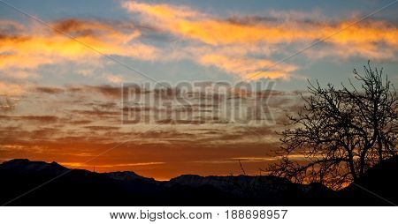 In South Africa Sunrise Near Branch