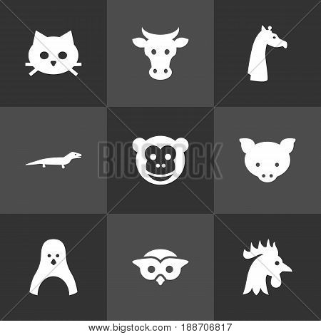 Set Of 9 Zoo Icons Set.Collection Of Rooster, Kine, Hog And Other Elements.