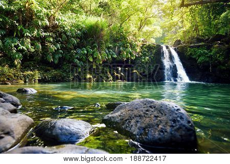 Tropical Waterfall Lower Waikamoi Falls And A Small Crystal Clear Pond, Inside Of A Dense Tropical R