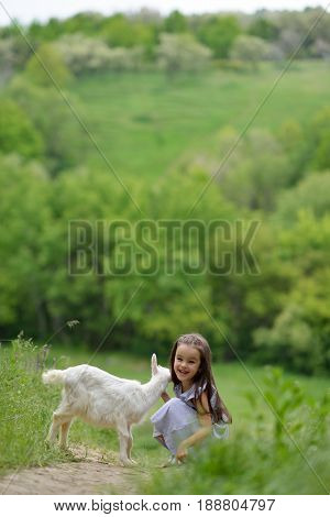 Little girl plays and huhs goatling in country, spring or summer nature outdoor. Cute kid with baby animal, countryside, forest, trod, glade background. Friendship of child and yeanling, image toned.
