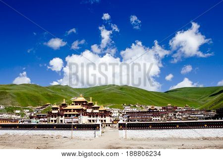 Potala palace in Lhasa Tibet with green mountain background