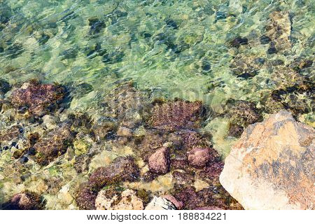 Colorful rocks with green moss in shallow sea water background