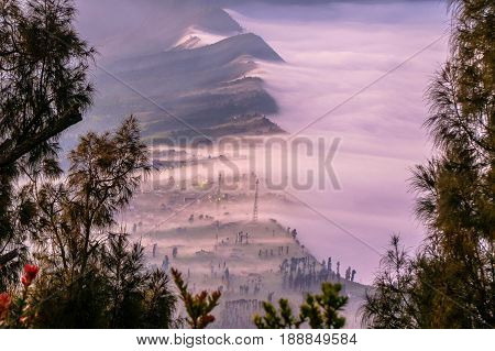 Beautiful foggy landscape of Cemara Lawang village near with Mount Bromo during sunrise with in Bromo Tengger Semeru National Park East Java Indonesia.