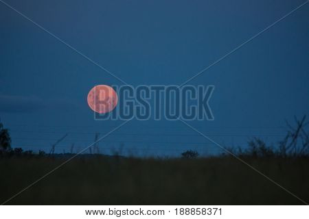 Full Moon At The Savvanah At Hlane Royal National Park, Swaziland