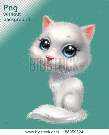 White fluffy kitten sitting, png without background