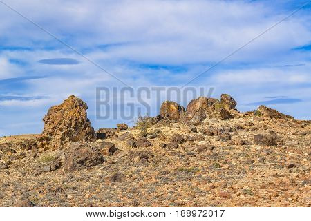 Petrified Forest National Park, Santa Cruz, Argentina