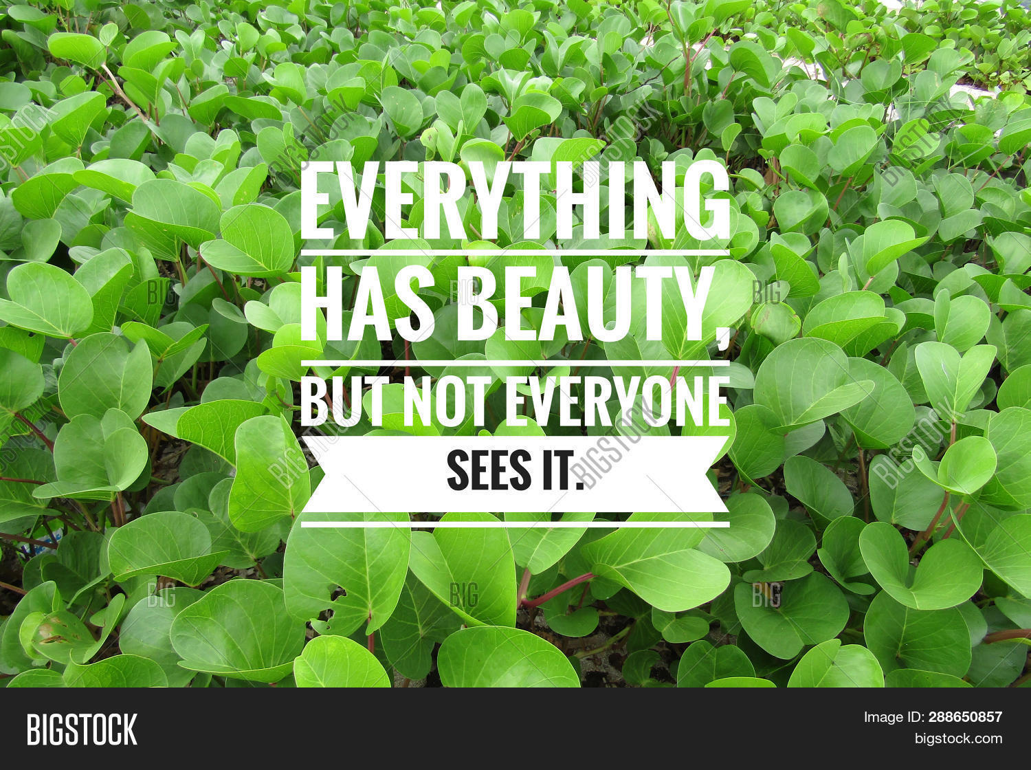 845 Green Nature Background Quotes For FREE My