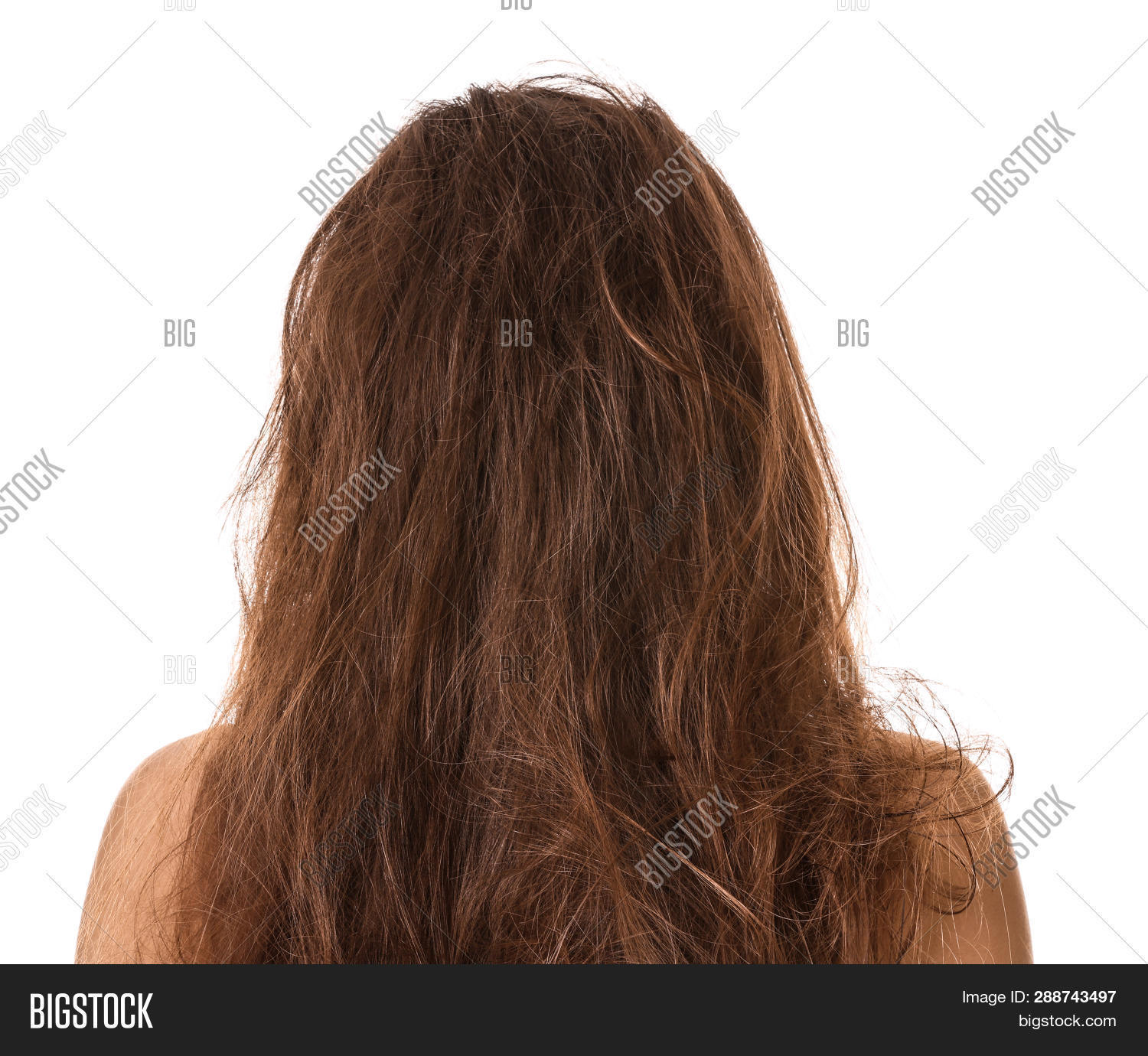 Woman Tangled Brown Image & Photo (Free Trial) | Bigstock