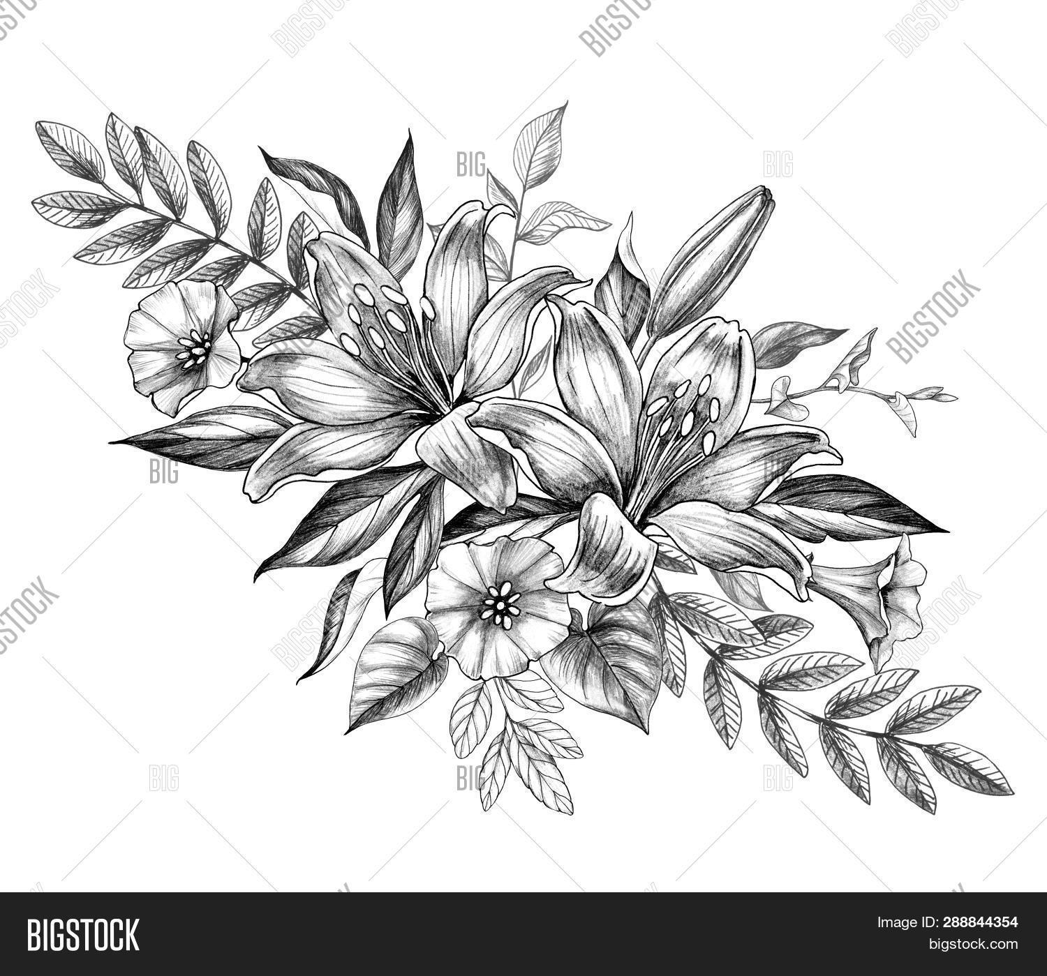 Hand Drawn Floral Image Photo Free Trial Bigstock