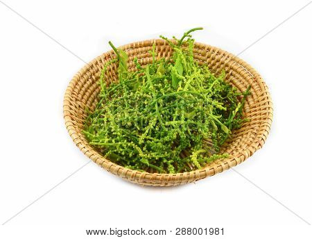 Leaf And Flower Of Melientha Suavis Pierre In  Basket Isolated On White Background / Opiliaceae Meli
