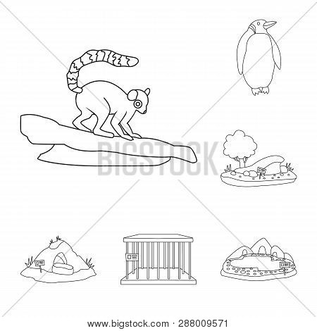 Vector Illustration Of Entertainment And Forest Sign. Set Of Entertainment And Park Vector Icon For 