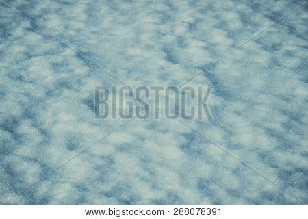 The Background Is White Clean Snow In A Winter Field