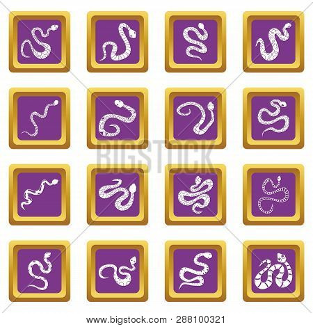 Snake Icons Set In Purple Color Isolated Illustration For Web And Any Design