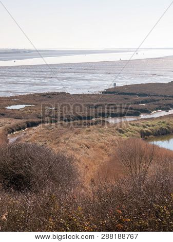 Fingringhoe Wick Nature Reserve Outside Landscape Background Space Open Country Countryside