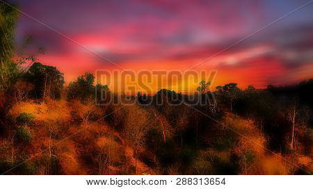 Blurred The Image Of The Trees In The Mountains And Red Sky With The Light Of The Sun.