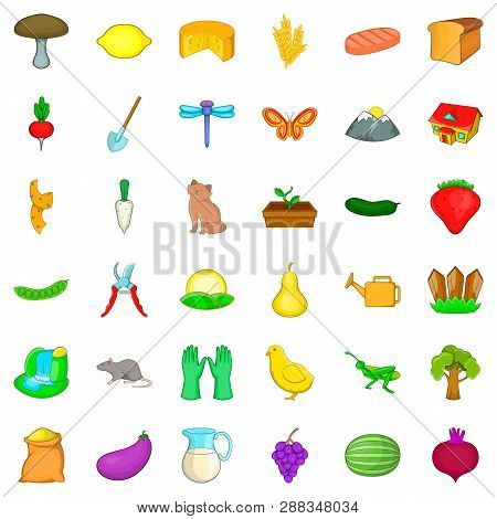 Region Icons Set. Cartoon Style Of 36 Region Icons For Web Isolated On White Background