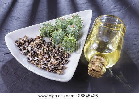 Beans And Castor Oil On The Black Table